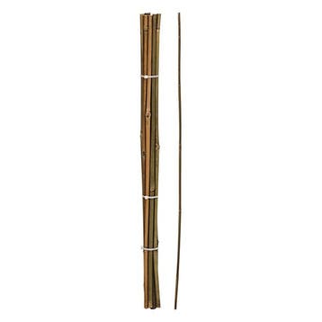 Plantenstok | Gardalux | 60 cm | 10 stuks (Ø 6/9 mm, Bamboe), Verzenden