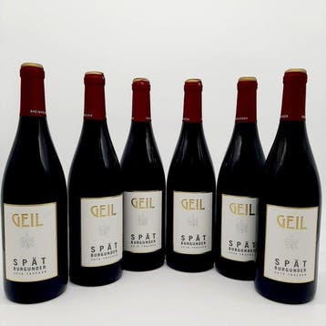 2016 Weingut Oekonomierat Johann Geil Erben, Geil, Nieuw