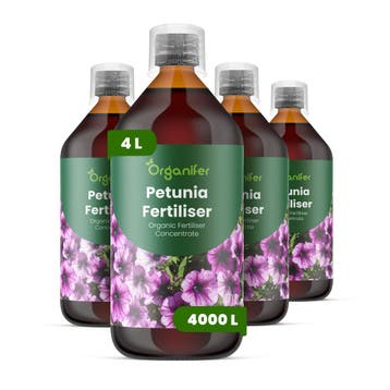 Vloeibare petuniamest - Set 4x1 liter, Verzenden, Mest