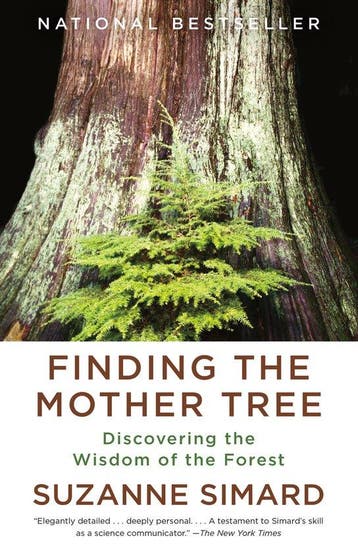 Finding the Mother Tree 9780525565994 Suzanne Simard, Verzenden, Zo goed als nieuw, Suzanne Simard