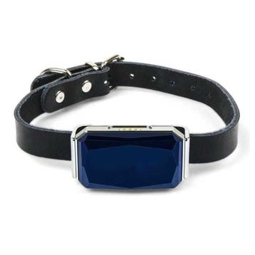GPS Tracker Halsband - Huisdier Verloren Real Time Locator, Verzenden, Nieuw