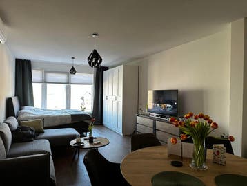 Te huur: Studio Rijkesluisstraat in Oirschot, Oirschot, Noord-Brabant