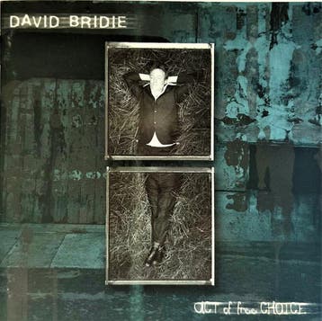 cd - David Bridie - Act Of Free Choice, Verzenden, Zo goed als nieuw