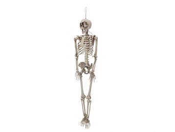EUROPALMS Halloweenfiguur Skelet Vormbaar Beweegbaar, 160 Cm, Verzenden, Nieuw, Overige typen