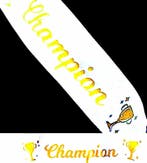 31-delige voetbal decoratie set wit met goud Kampioen, Sport en Fitness, Voetbal, Ophalen of Verzenden, Nieuw, Overige typen