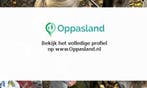 Rebekka zoekt een oppas in Haarlem voor 2 kinderen op din...
