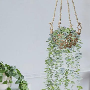 Kunst Eucalpytus Klimop Slager - Decoratieve Kunstplant voor, Verzenden, Nieuw