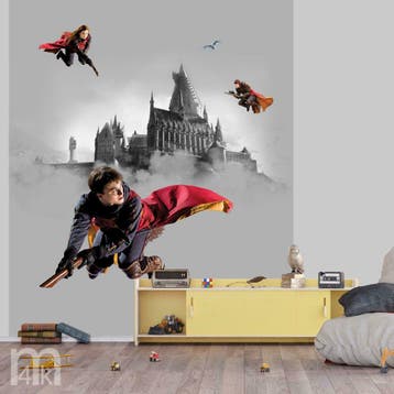 Harry Potter behang, Harry Potter kamer, Ron, Hermelien,, Kinderen en Baby's, Ophalen of Verzenden, Nieuw, Wanddecoratie