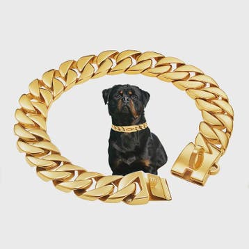 Gouden Hondenketting 32mm RVS - Stoere Halsband voor Grote R, Verzenden, Nieuw