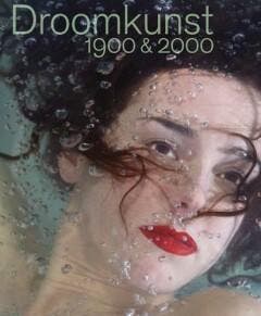 Droomkunst 1900 & 2000 - Paul van den Akker 9789462580039, Verzenden, Gelezen, Paul van den Akker