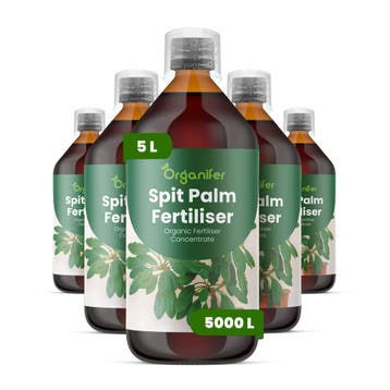 Spitpalm Vloeibare meststof - Set 5x1 liter, Verzenden, Mest
