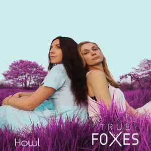 cd - True Foxes - Howl, Cd's en Dvd's, Cd's | Country en Western, Zo goed als nieuw, Verzenden