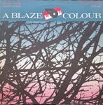 A Blaze Colour - (Against the Dark Trees) The New Ones /, Cd's en Dvd's, Vinyl Singles, Nieuw in verpakking