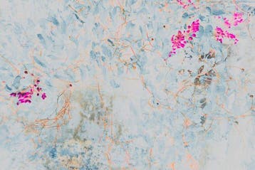 Viet Ha Tran - Silent Beauty I