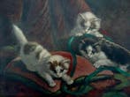 A. v.d. Heijden (XX) - De rustende poes