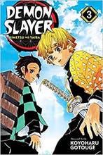 Demon Slayer: Kimetsu no Yaiba  Vol. 3, Boeken, Verzenden, Nieuw