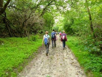 Wandelen in Hongarije in uniek Natuurpark (Koppanyvolgy)