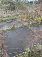 Gebruikte betonplaat 200x165x10 met hoeklijn B Keus..., Ophalen of Verzenden, Nieuw