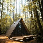 Huisje Huren in de Natuur? Vind & Boek het Perfecte Verblijf, Huisdier toegestaan, In bos