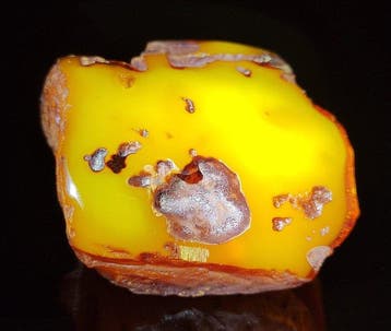 Baltisch Amber Museum - Hoge Kwaliteit AAA- 107 g