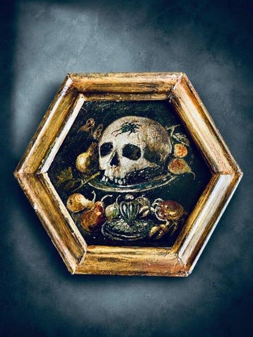 Vanité crâne aux insectes – Mémento Mori - XVIII ème