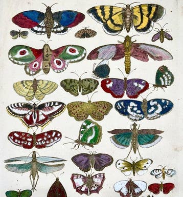 Matthäus Merian (1593-1650) - hand coloured engraving:, Antiek en Kunst, Antiek | Boeken en Bijbels