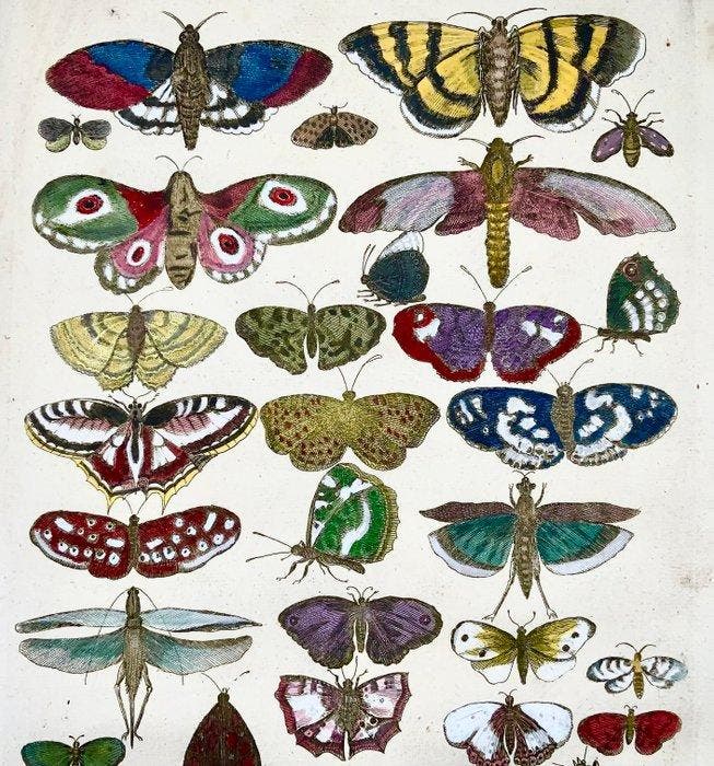 Matthäus Merian (1593-1650) - hand coloured engraving:, Antiek en Kunst, Antiek | Boeken en Bijbels