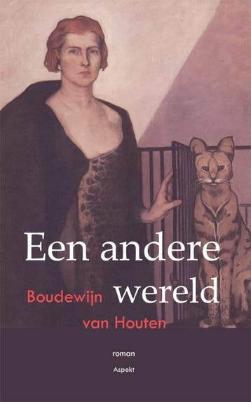 Een andere wereld - Boudewijn van Houten 9789059119314, Boeken, Verzenden, Zo goed als nieuw, Boudewijn van Houten