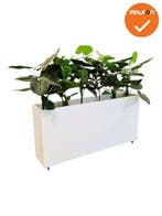 Verrijdbare plantenbak - 160x80cm - Wit (Accessoires), Werkplek, Ophalen of Verzenden, Gebruikt, Overige typen