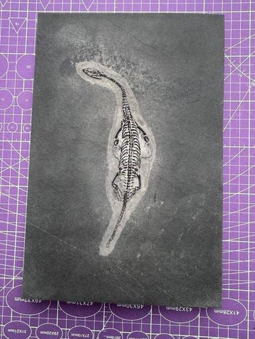 Fossiel reptiel: Keichousaurus – zeldzaam getuigenis uit het
