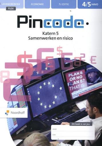 4/5 havo economie / Pincode / Leerwerkboek Flex, Verzenden, Gelezen