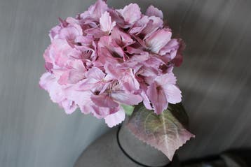 Sylxz Hortensia light pink 65 cm, Huis en Inrichting, Woonaccessoires | Kunstplanten en Kunstbloemen, Ophalen of Verzenden, Nieuw
