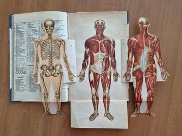 Anoniem - Anatomische Atlas van het Menschelijk Lichaam -