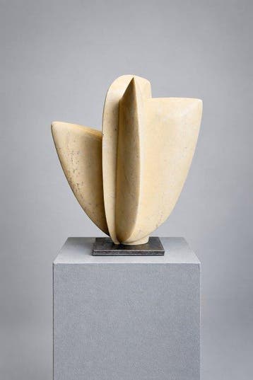 Juan Carlos Rayas - Qroqos