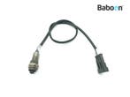 Lambda Sonde Ducati Streetfighter 1098 2010-2011 Rear, Motoren, Verzenden, Gebruikt