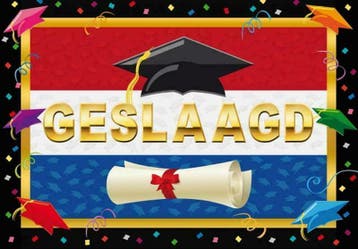Geslaagd vlaggen - Mega aanbod geslaagd vlaggen, Hobby en Vrije tijd, Feestartikelen, Ophalen of Verzenden, Nieuw, Versiering