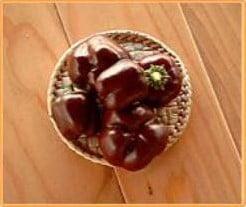 Baby Bell Chocolate mini paprika, Ophalen of Verzenden, Nieuw