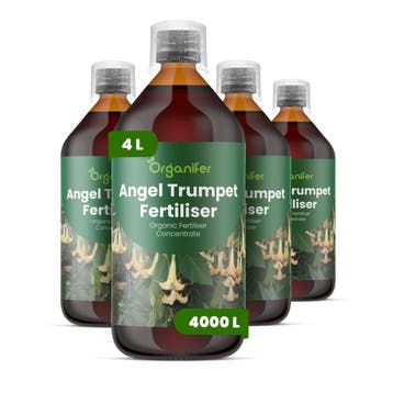 Engelentrompet Vloeibare Meststof - 4x1 Liter, Tuin en Terras, Verzenden, Mest