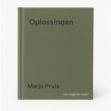 Oplossingen - Marja Pruis 9789038809359, Verzenden, Gelezen, Marja Pruis