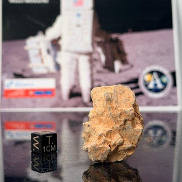 SUPER!! MOON Meteorit BECHAR 007 XXL!!! Lunar - 26.3 g