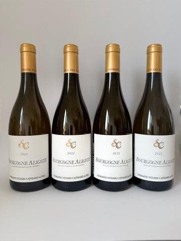 2021 & 2022 x 3 Domaine Sylvain Cathiard & Fils - Bourgogne, Nieuw