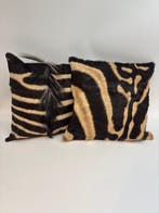 Zebra Balg - Equus quagga - 40 cm - 40 cm - 1 cm -