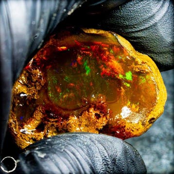 Crystal Opal – Een vuurwerk van licht en kleur 108,95ct-