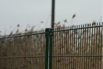 Dubbelstaafmatten: Stevig Kwaliteits Hekwerk in 3 Kleuren, Tuin en Terras, Ophalen of Verzenden, Nieuw, IJzer, Minder dan 3 meter