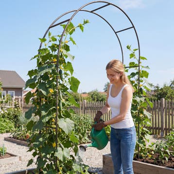 Rozenboog 240 cm - groen, Verzenden, Nieuw
