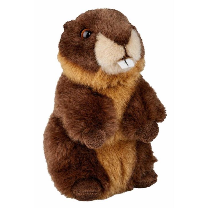 Ravensden bever knuffel - pluche - bruin - 18 cm, Kinderen en Baby's, Speelgoed | Knuffels en Pluche, Verzenden