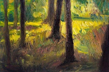 Eliza Koodziej - Structure of Sunlight