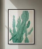 N. Magro -  Cacti (drawings from the Sukkulenten-Sammlung