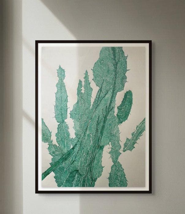 N. Magro -  Cacti (drawings from the Sukkulenten-Sammlung, Antiek en Kunst, Kunst | Designobjecten