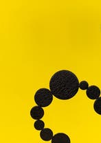 Diamonds Are Not For Everyone. Kees De Goede 9789493329133, Ophalen of Verzenden, Nieuw, Kees de Goede-Tommy Wieringa-Hans den Hartog Jager-Nanda Janssen